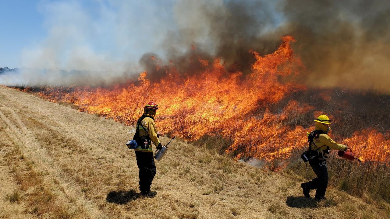 firefighters fielding a field fire