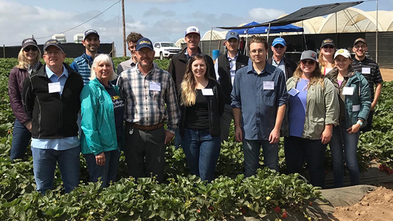 Strawberry Field Day